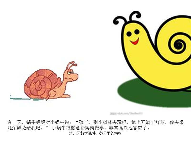 幼儿园教学课件---冬天里的植物.ppt_第2页