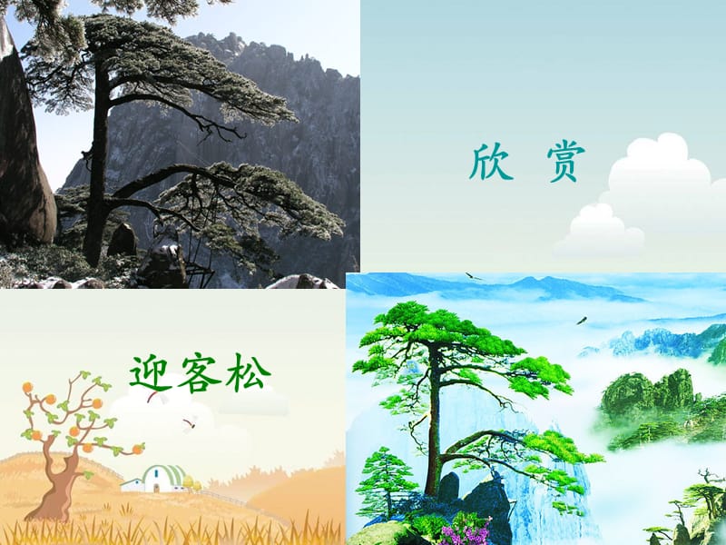 新北师大版一年级语文下册《四单元 植物老树的故事》优质课课件_13.ppt_第2页