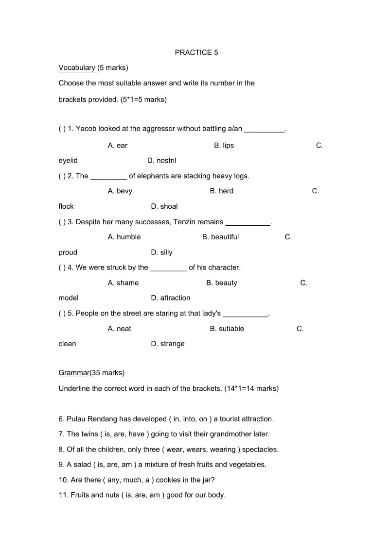 新加坡小学二年级英语试卷PRACTICE5.docx_第1页