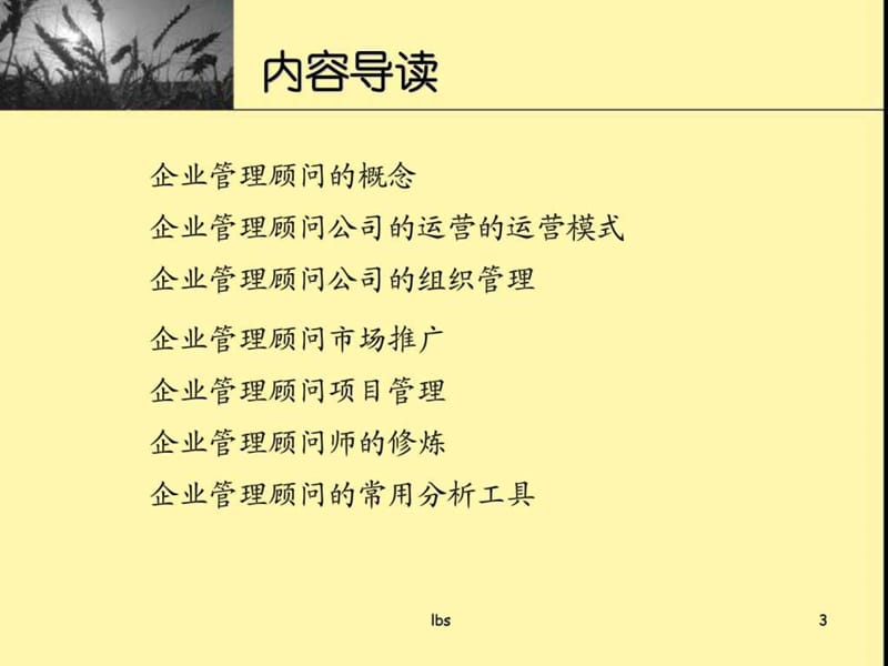 企业管理咨询公司---运营管理规划课件课件.ppt_第3页