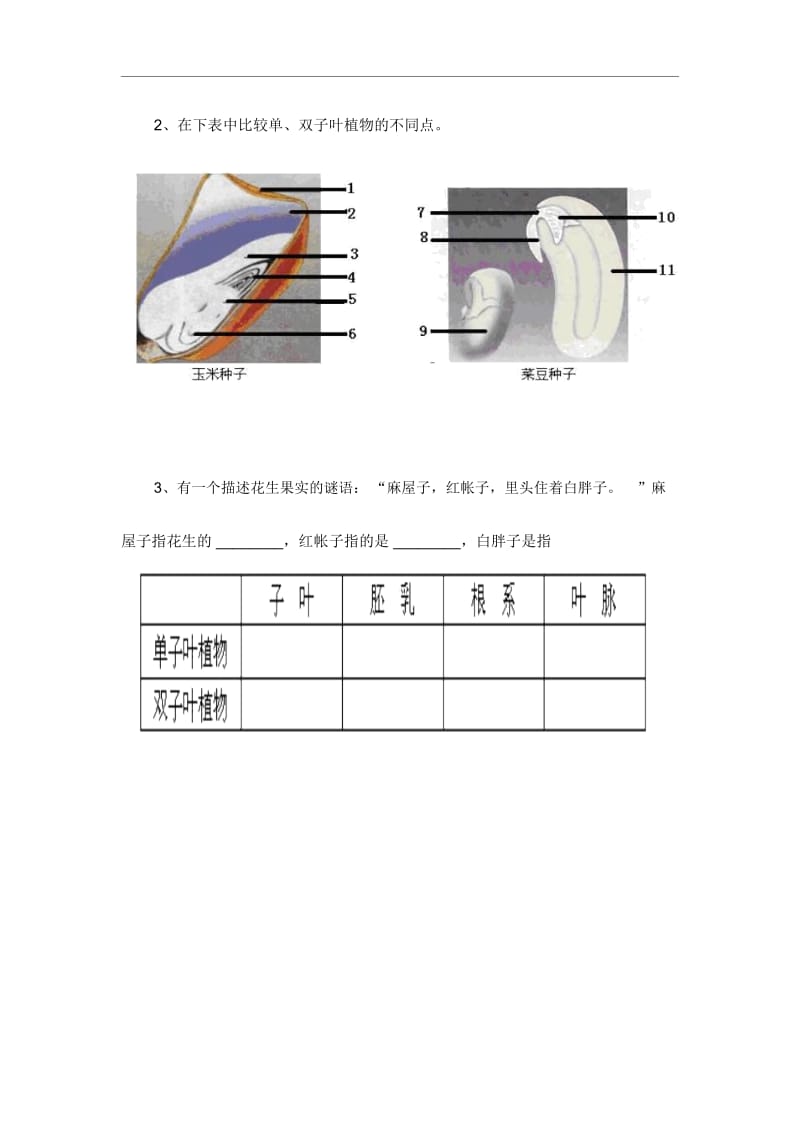 人教版七年级生物上册《种子植物》教学设计.docx_第3页