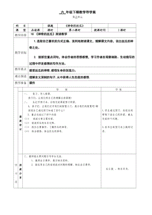 西南师大版六年级语文下册《五单元18 神奇的丝瓜》教案_0.doc