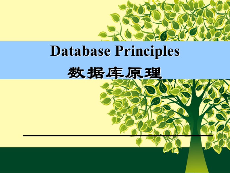 《Database Principles数据库原理》PPT.pptx_第1页