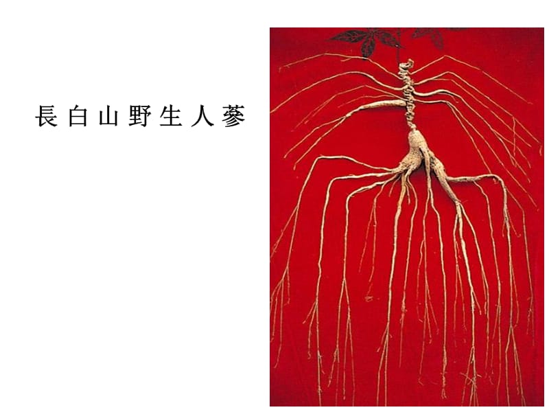 中国东北地区农业的可持续发展--正式课件.ppt_第1页