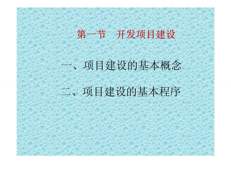 开发项目建设与管理课件.ppt_第2页