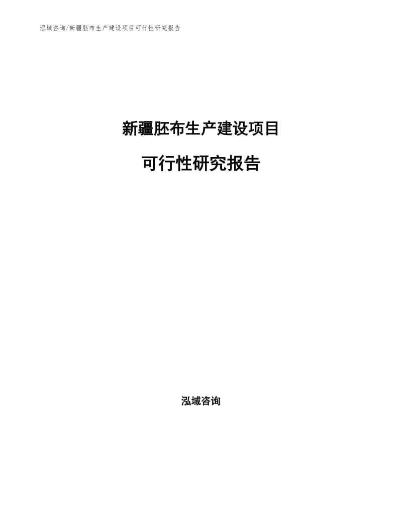 新疆胚布生产建设项目可行性研究报告样例模板.docx_第1页