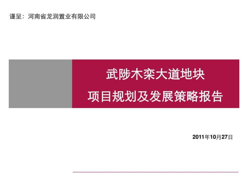 焦作市武陟木栾大道地块项目规划及发展策略报告课件.ppt_第1页