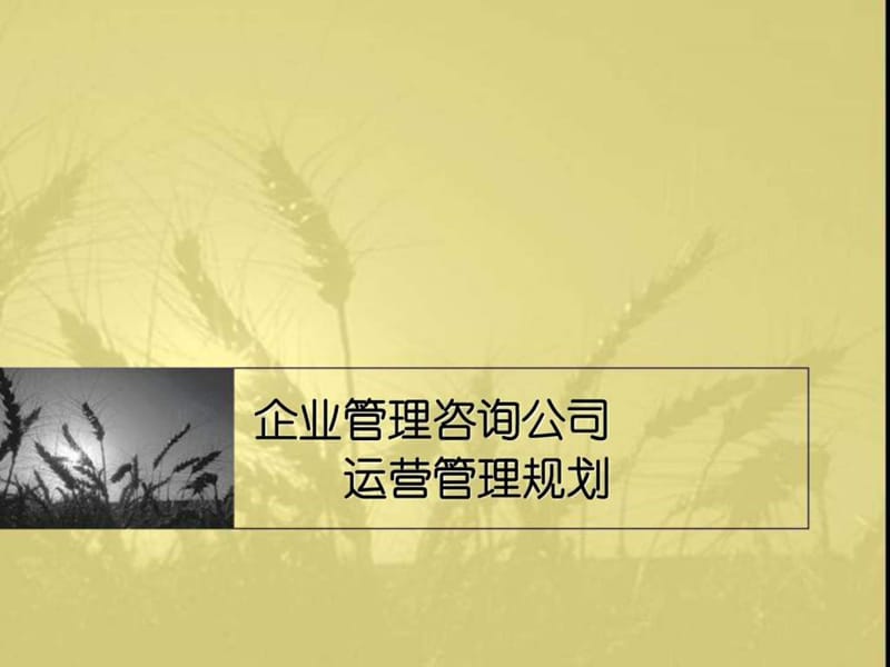 企业管理咨询公司运营管理规划(3)课件.ppt_第1页