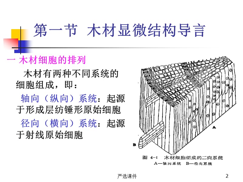 第四章木材的微观结构[高等教学].ppt_第2页