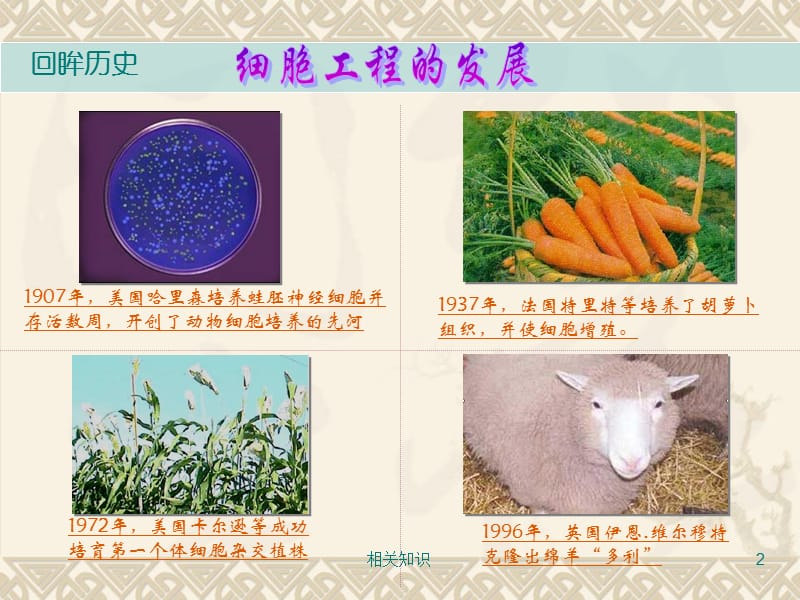 细胞工程概述[专业相关].ppt_第2页