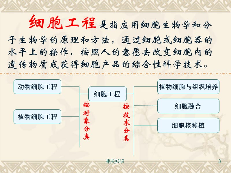 细胞工程概述[专业相关].ppt_第3页