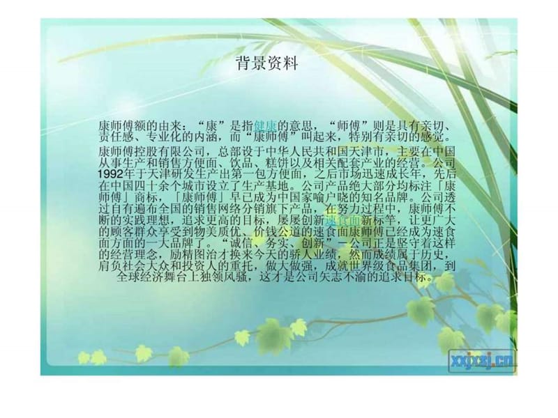 康师傅方便面策划方案课件.ppt_第2页