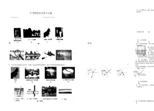 中考物理光学复习专题.docx