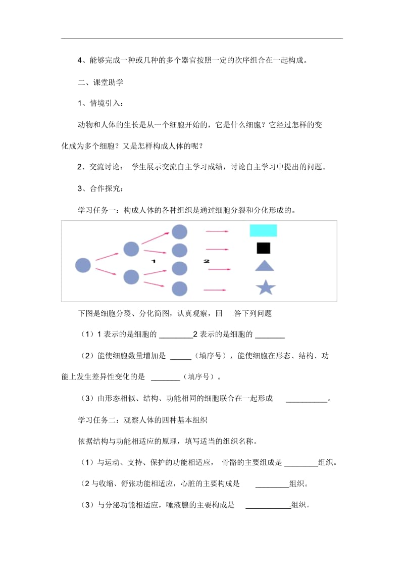 人教版七年级上册生物《动物体的结构层次》教学设计.docx_第2页