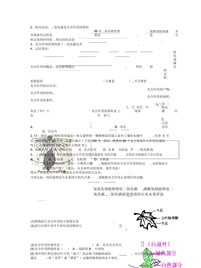 济南版七上第三节《绿色植物的光合作用》学案.docx_第3页