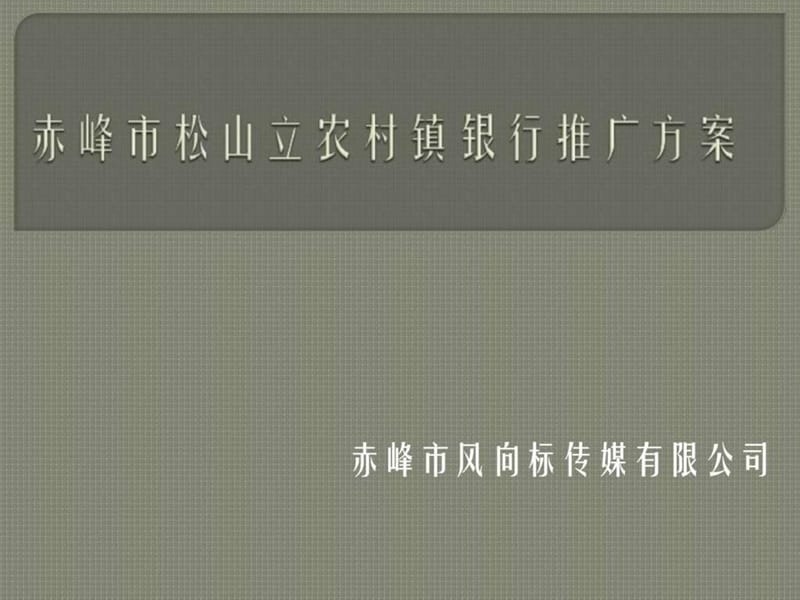 农村镇银行营销推广方案课件.ppt_第1页