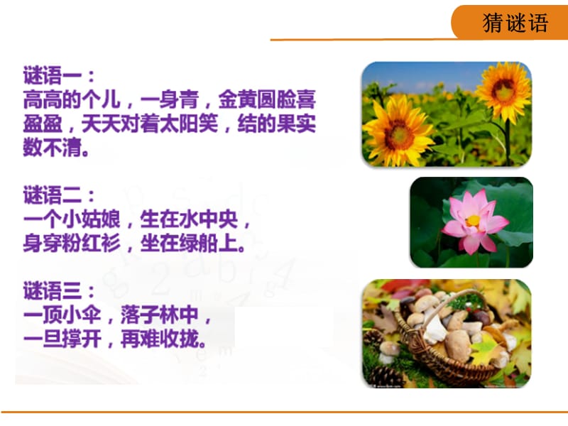 做大自然的孩子.ppt_第2页