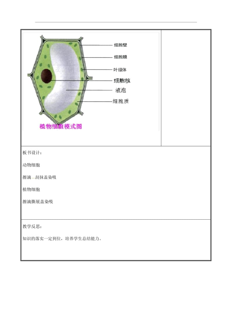 人教版生物七年级上册《细胞是生命活动的基本单位》教学.docx_第3页