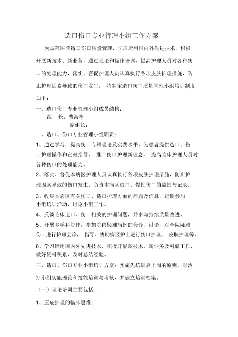 造口伤口专业管理小组工作方案.docx_第1页