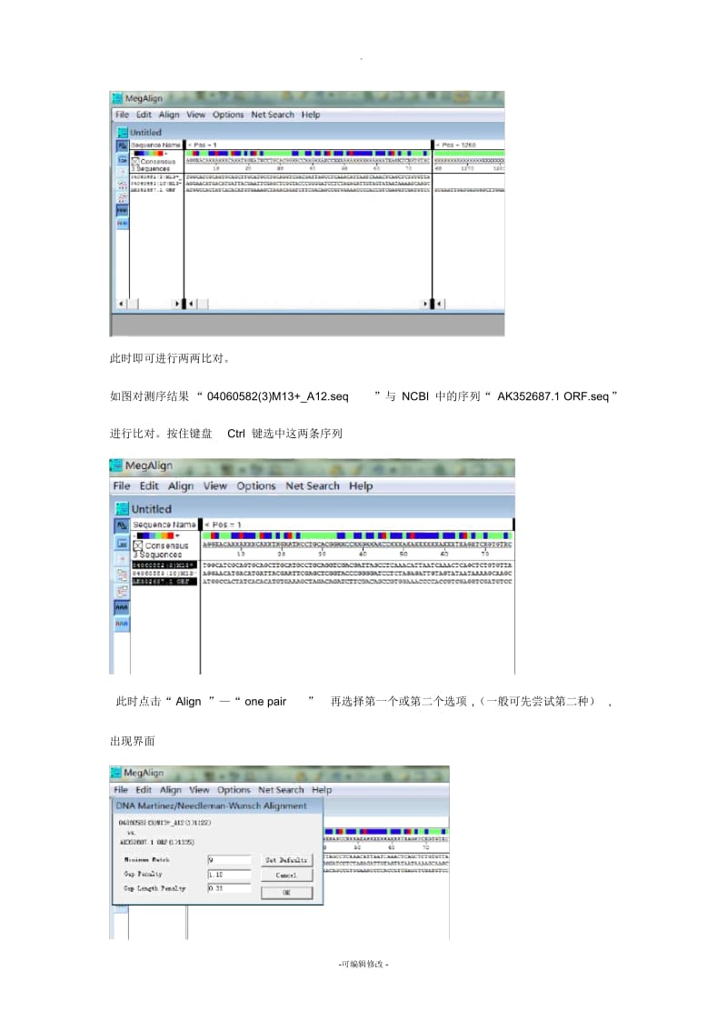 运用DNAstar比对序列.docx_第2页