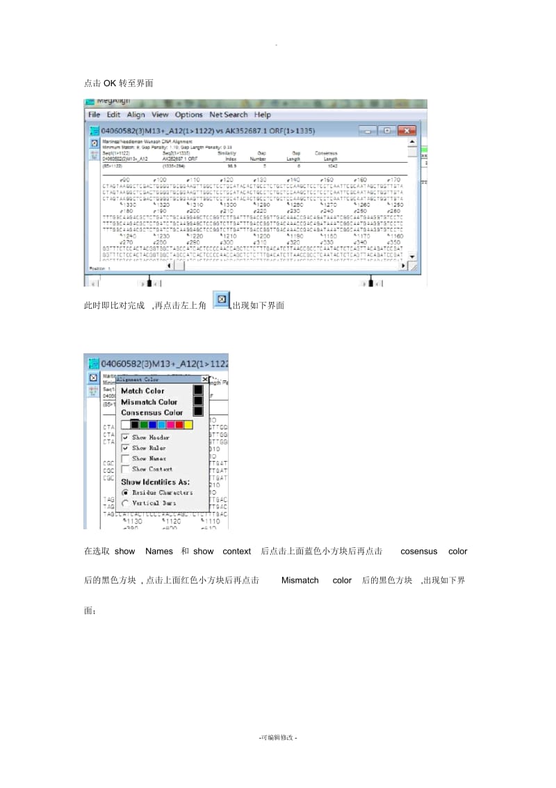 运用DNAstar比对序列.docx_第3页