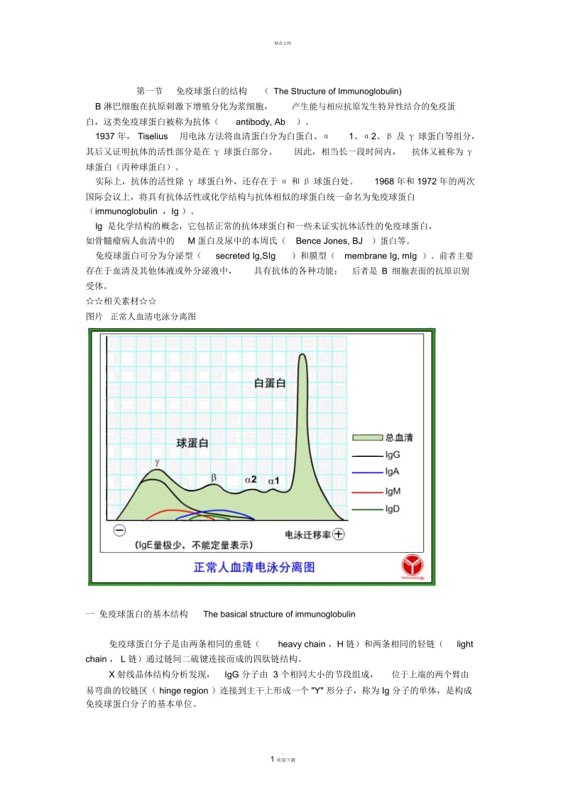 免疫球蛋白的结构.docx_第1页