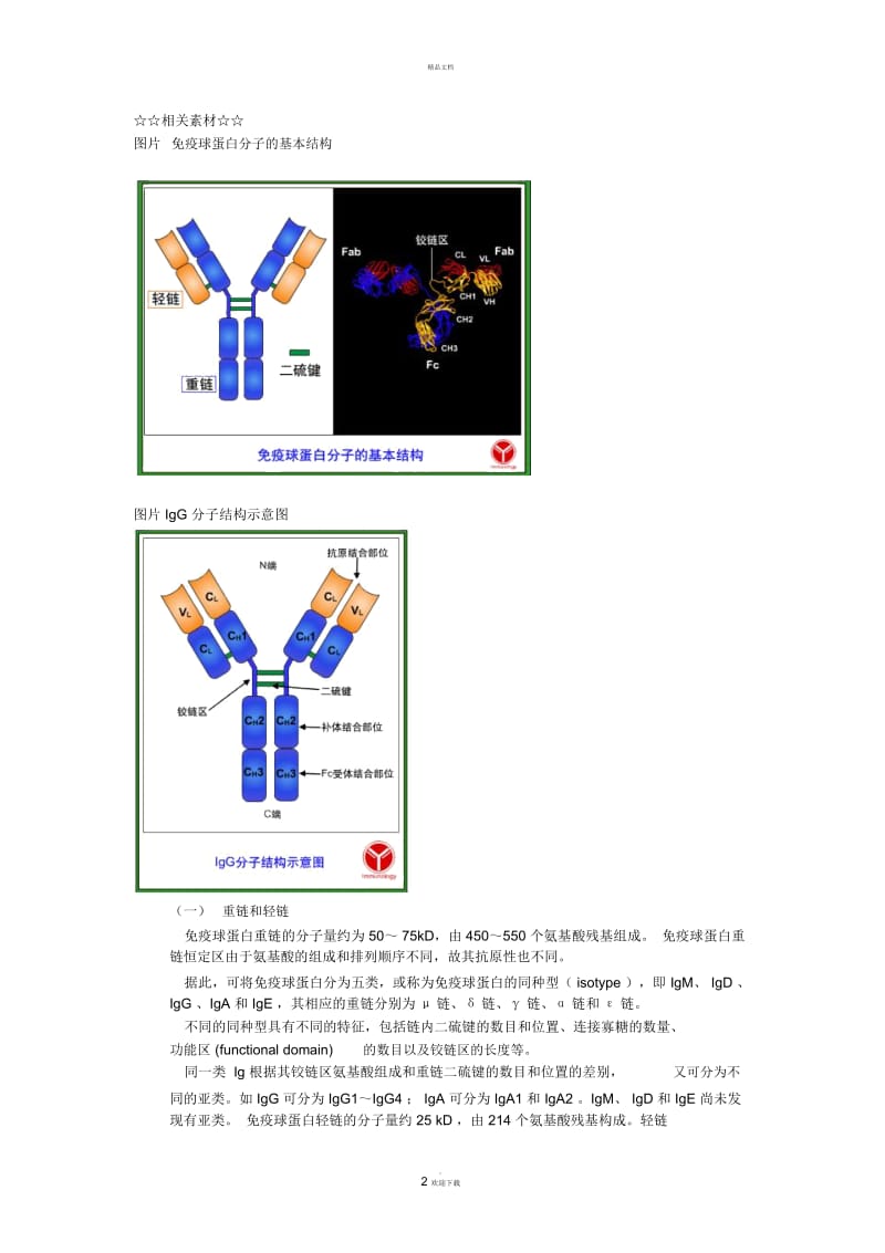 免疫球蛋白的结构.docx_第2页