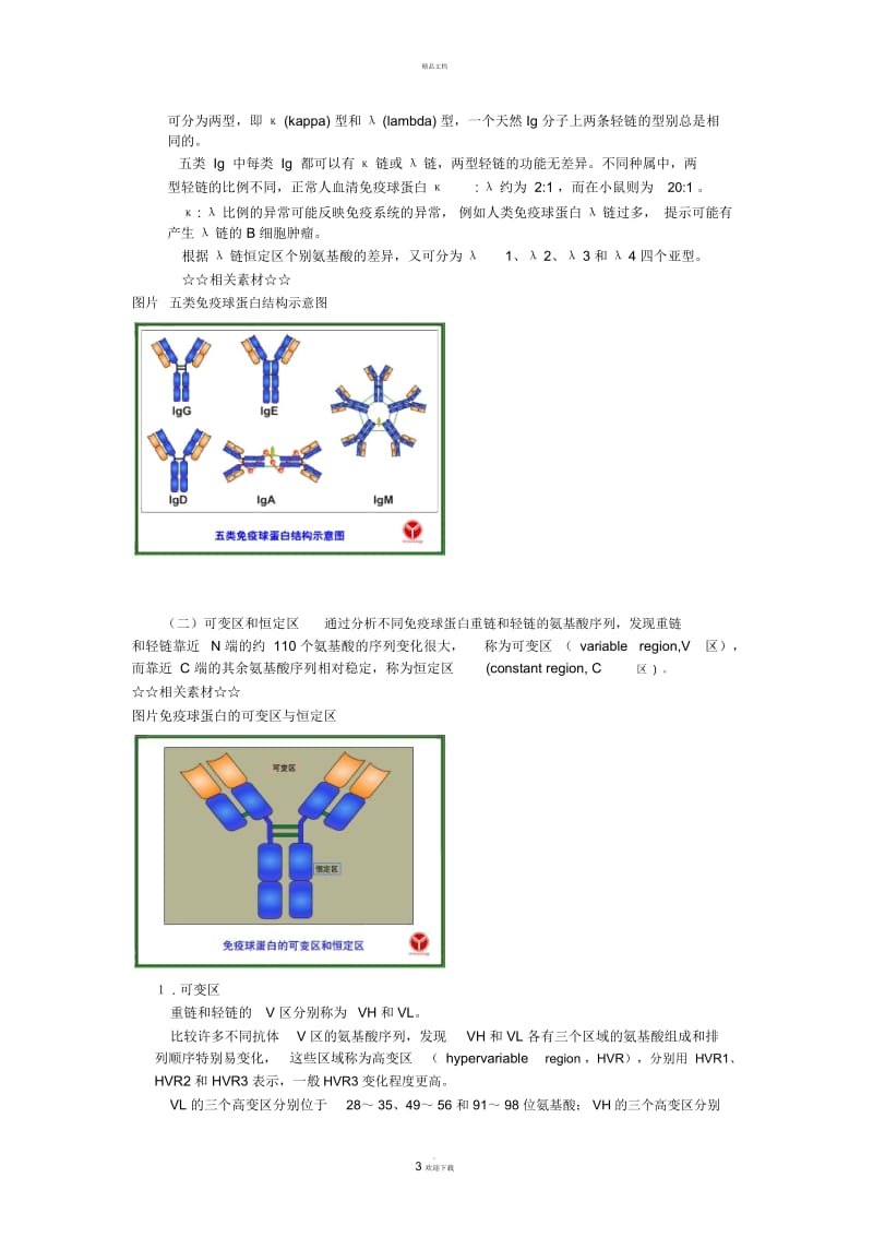 免疫球蛋白的结构.docx_第3页