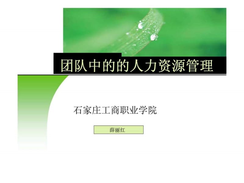 团队中的的人力资源管理课件.ppt_第1页