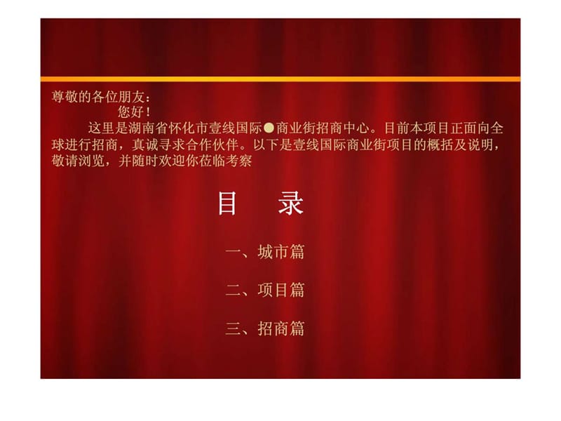 湖南壹线国际商业街项目招商手册营销推广方案课件.ppt_第2页