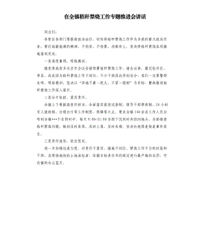 在全镇秸秆禁烧工作专题推进会讲话.docx