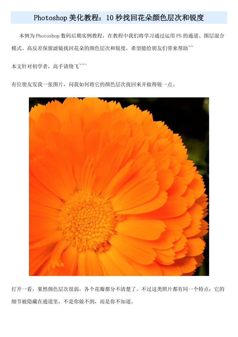 Photoshop美化教程：10秒找回花朵颜色层次和锐度.doc_第1页