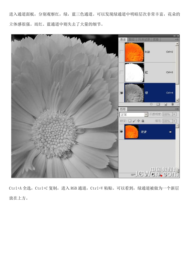 Photoshop美化教程：10秒找回花朵颜色层次和锐度.doc_第2页