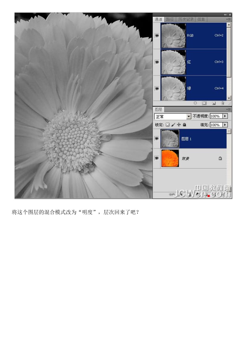 Photoshop美化教程：10秒找回花朵颜色层次和锐度.doc_第3页