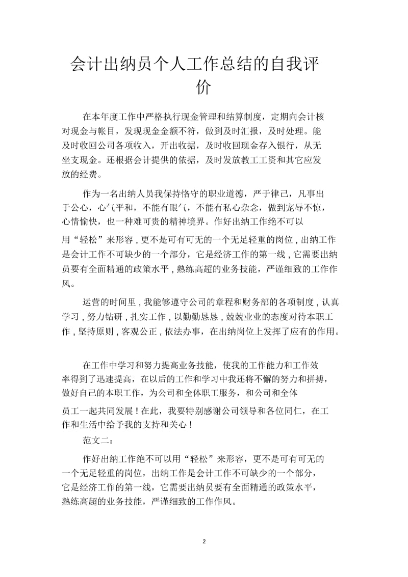 2019会计出纳员个人工作总结的自我评价(二篇).docx_第2页