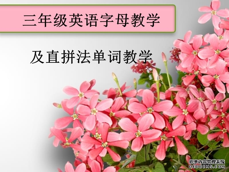 字母及自然拼读教学.ppt_第1页