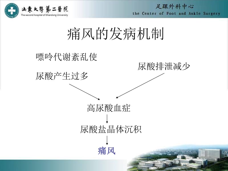 中国痛风诊疗指南.ppt_第3页