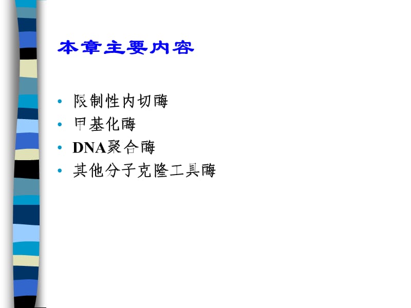 分子生物学课件—1工具酶.ppt_第2页