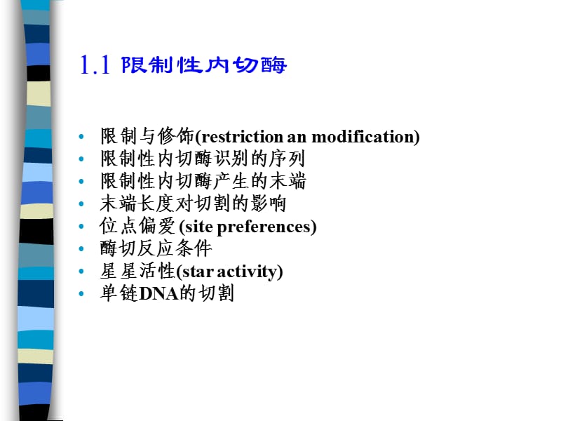 分子生物学课件—1工具酶.ppt_第3页