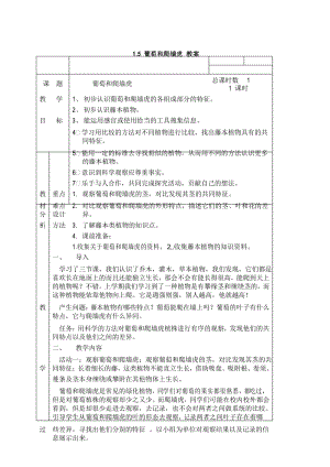 1.5 四年级科学下册《 葡萄和爬墙虎 》教案.docx