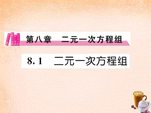 【人教版】数学七下：《二元一次方程组》练习课件.docx