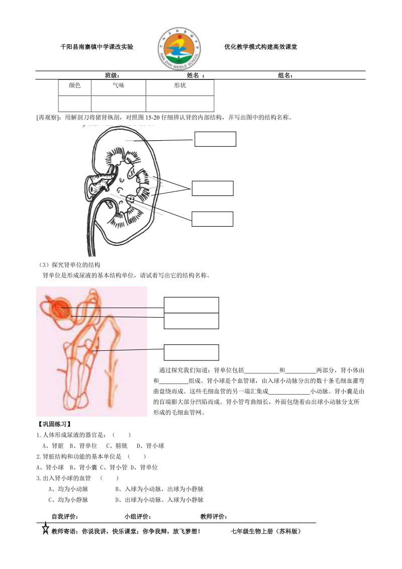 人体内废物的排出1.doc_第2页