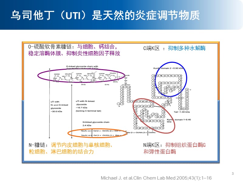 乌司他丁对炎症组织灌注及脏器损伤的影响 ppt课件.pptx_第3页