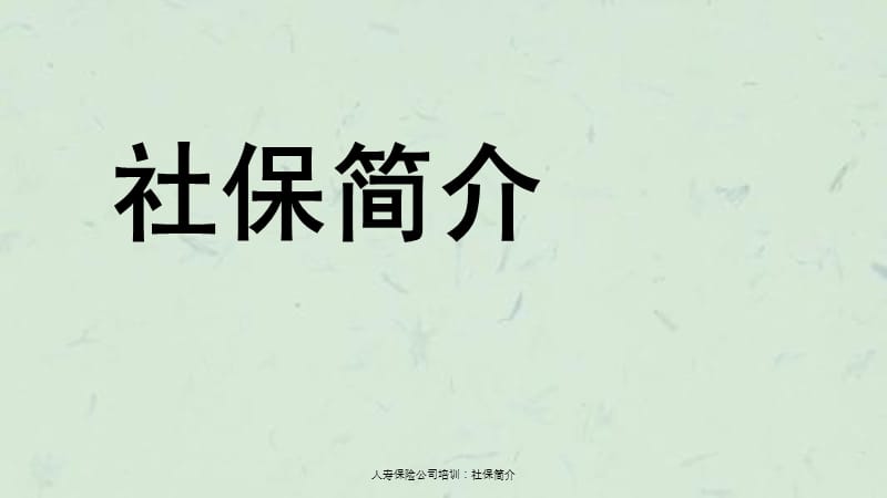 人寿保险公司培训社保简介.ppt_第1页