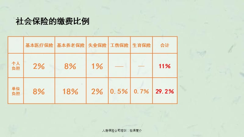 人寿保险公司培训社保简介.ppt_第2页