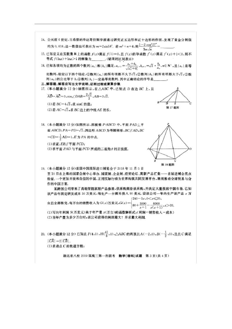 【数学】湖北省八校2019届高三上学期12月份第一次联考试卷(理)(扫描版).docx_第3页