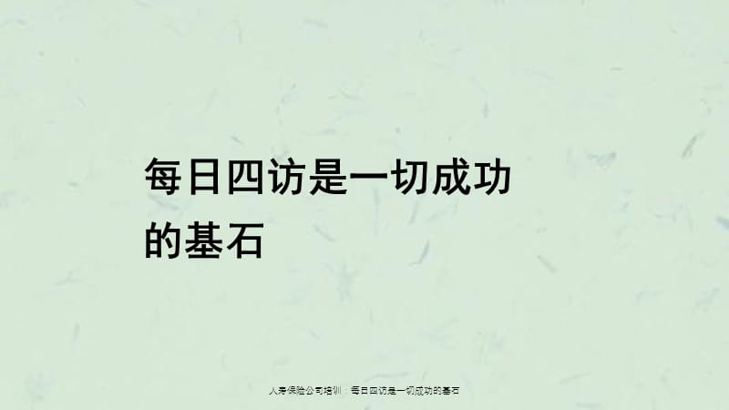 人寿保险公司培训每日四访是一切成功的基石.ppt_第1页