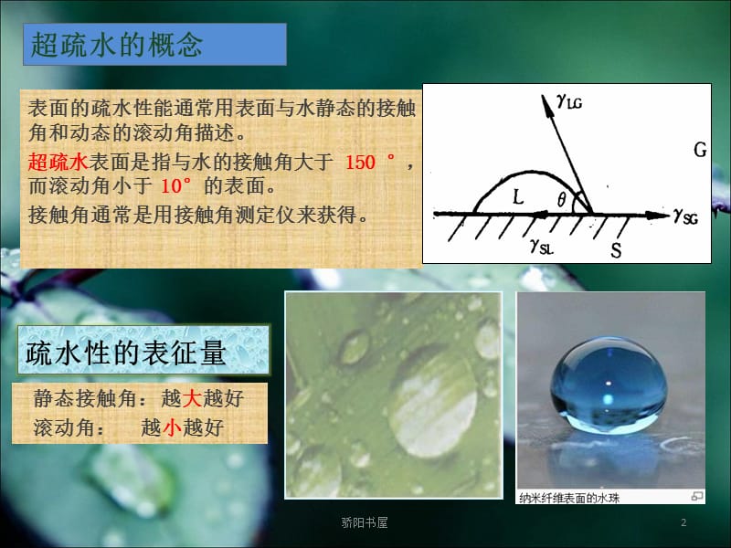 超疏水现象及应用[课资资源].ppt_第2页