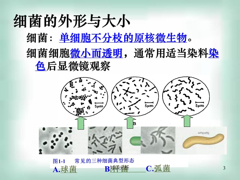 微生物的实验室培养ppt[优制材料].ppt_第3页