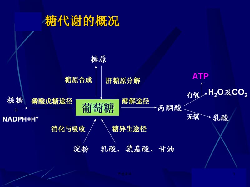 高乳酸血症与肝病[专业研究].ppt_第3页